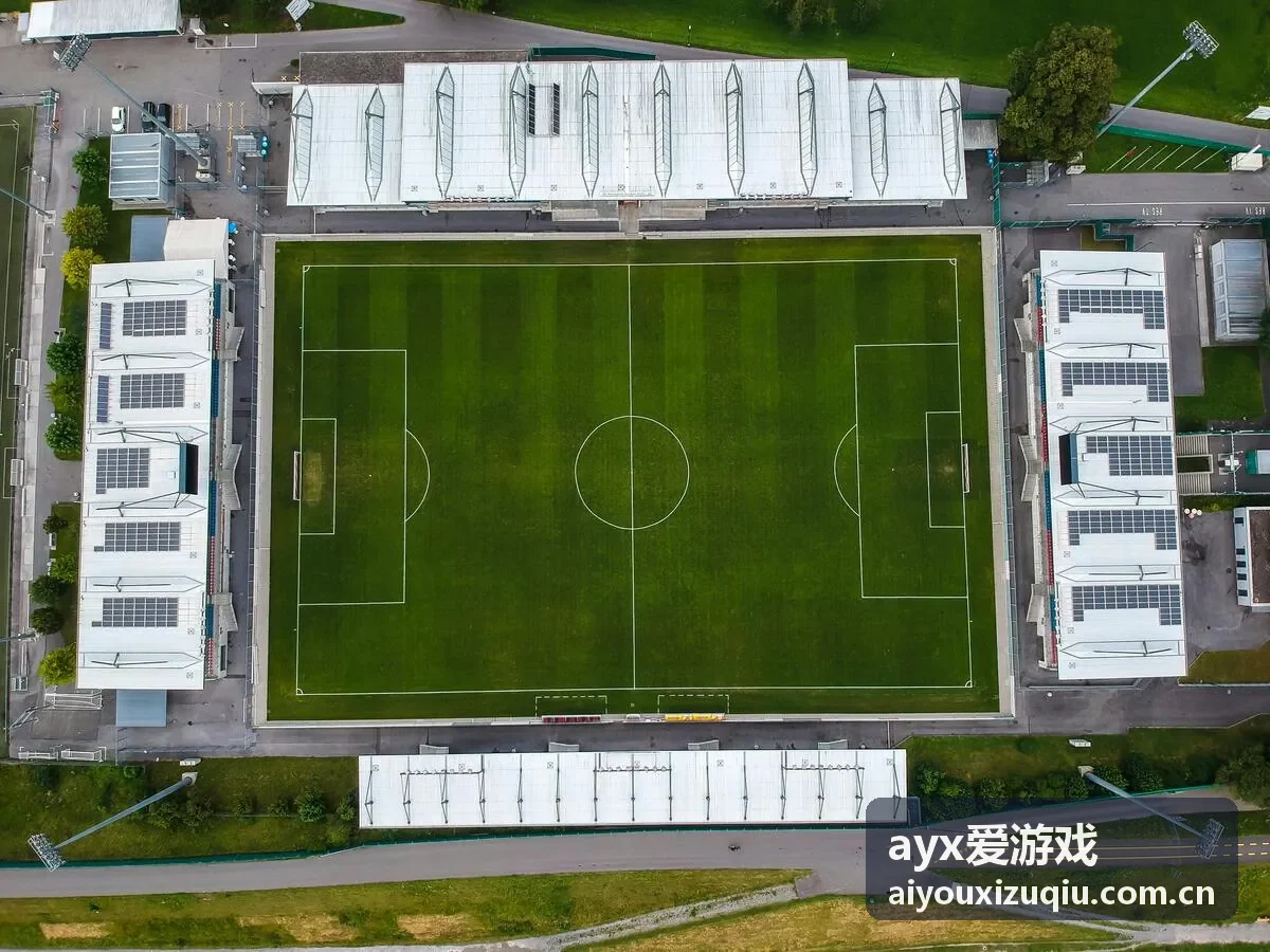 ayx爱游戏新游 - 幻境奇缘